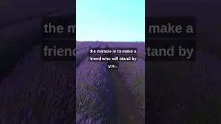 Quality friends...