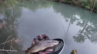 Gobage de Truite de La Saulx