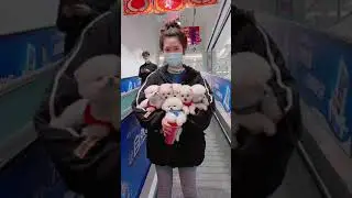 Cute Dogs Smart dog -Baby and Funny Dog Videos | Aww Animals Compilation #Shorts