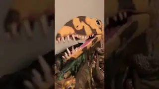 CollectA Dimorphodon Deluxe Figure!
