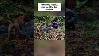 Primitive Cooking 👀