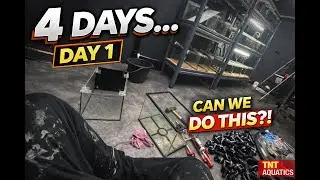 DAY ONE of the 4 DAY FISH ROOM BUILD CHALLENGE! 🛠️🐠
