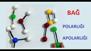 Apolar ve Polar Bağlar Nasıl Anlaşılır? Kimyasal bağların bağ polarlığı basit mantık - Bağ Polarlığı