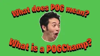 What Does POG Mean? And WTH is a POGchamp?!