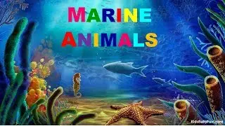 Famous Marine Animals || Learn the names of Marine Lives || Preschool Learning