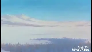 Balto-Reach for the light