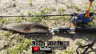 vlog11 testing Rod #artemis X [spinning] part 1