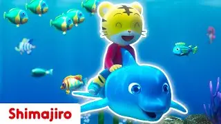 🦸🏻🌎💖 Become a superhero taking care of Planet Earth with Shimajiro! | Nursery Rhymes about ecology