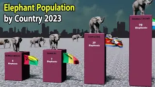 Elephant Population by Country 2023