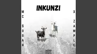 Inkunzi