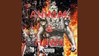 Animal & Hawk