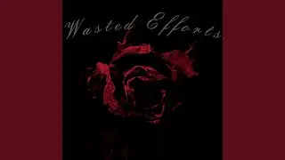 Wasted Efforts (High Speed)