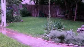 Stealth Cam P12 Test