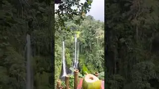 BALI BEST WATERFALL CAFE 🍵   #sekumpul #baliwaterfalls #ubud #hangingrestaurant #balifood #travel
