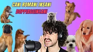 CANI ROMANI INSANI - DOPPIAGGINSANI