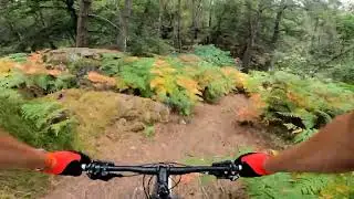 6 minutes of Fontainebleau mountainbiking