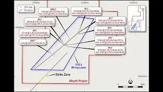 Castillo Copper Limited - Mkushi Project