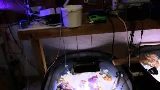 Lesd's 120 Gal Reef Tank pre-breakdown - Garage Equipment/Frag Tank/Holding System