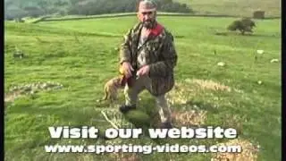 Simon Whitehead ferreting rabbits