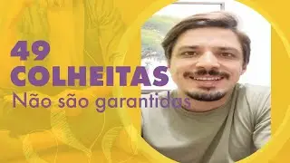 49 - Plante e Colha Mas Nem Sempre o Que Voc&ecirc; Plantou - Uma Li&ccedil;&atilde;o Por Dia