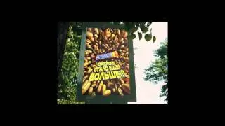 snickers belki