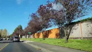 driving Graham/South Hill WA