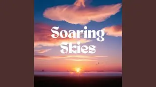 Soaring Skies