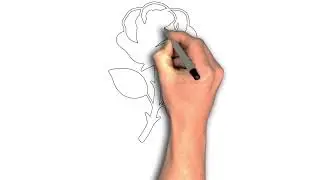How to draw Rose in detail drawing image, Nature&rsquo;s Rose Portrait in Line Form