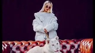 Loredana type Beat - Hauskatze (Prod. Max on the Beat)