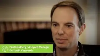 Paul Goldberg (Bettinelli Vineyards) - Fruition sciences