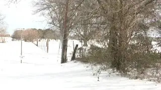 3 Fannin County brothers drown in frozen pond