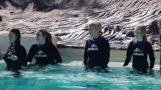 Kissing a dolphin