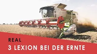 Claas Lexion Power - Drei Drescher bei der Ernte