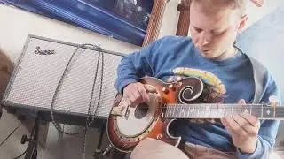 Gold Tone Electric Banjo EBM-5 Tobacco Sunburst with upgraded electronics