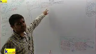 Discrete Time -  Complex Exponential & Sinusoidal Signals Fundamental Period & Fundamental Frequency