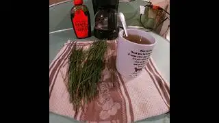 Super Tea Packed With Vitamin C And A, Plus So Much More And Its Free!