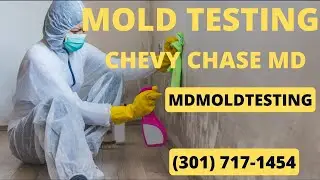 Mold Testing Chevy Chase Maryland