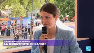 Sixi&egrave;me extinction de masse : la biodiversit&eacute; en danger ? &bull; FRANCE 24