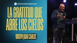 🔴 EN VIVO 