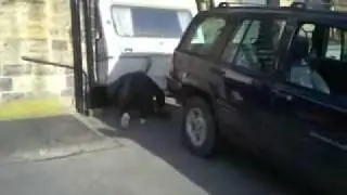 Trailer stuck