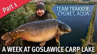 Carp Fishing In Poland - A Week at Goslawice Carp Lake - Part 1