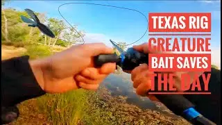 Mather Lake | Attempt At Post Spawn Topwater