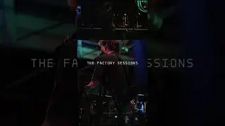 The Davids x The Factory Sessions (Live at the Tropical Ravine, Belfast)