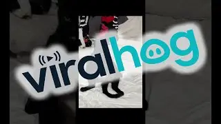 Cat Chided for Sitting in a Funny Way || ViralHog