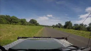 Elephant crossing the Nata - Kasane main road.