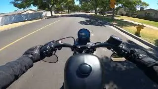 Harley Davidson Iron 883 | Morning Ride Pure Engine Sound