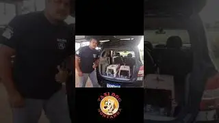 TAXI DOG MONTANHA em Transporte por todo Brasil.  #taxidogmontanha #taxipet #kwai #taxidog #viagem