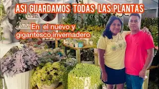 ASÍ GUARDAMOS TODAS LAS PLANTAS EN EL NUEVO Y GIGANTESCO INVERNADERO