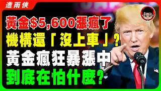 【突發】金價單日暴漲$170直逼$5600！黃金漲不停，機構持倉卻「異常冷靜」？渣打揭秘：這次莊家換人了！誰在瘋狂掃貨？每次漲完必出大事？#黃金 #金價 #金融分析 #投資理財 #避險 #央行 #散戶