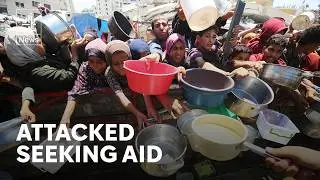 At least 10 people killed seeking aid in Gaza